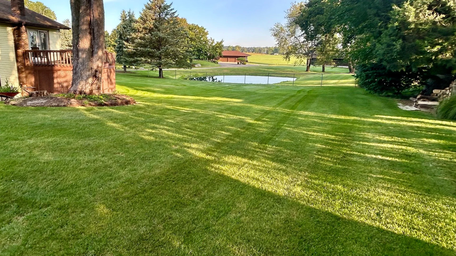 Home in Grand Rapids, MI with green grass that's weed-free.