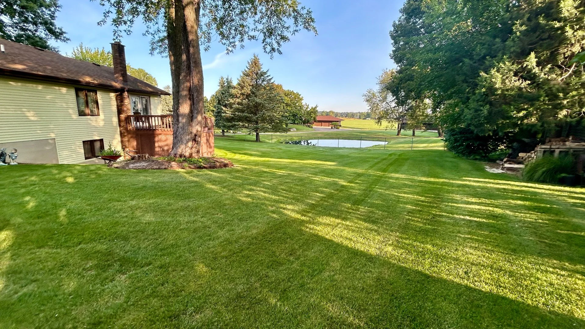 Home in Grand Rapids, MI with green grass that's weed-free.