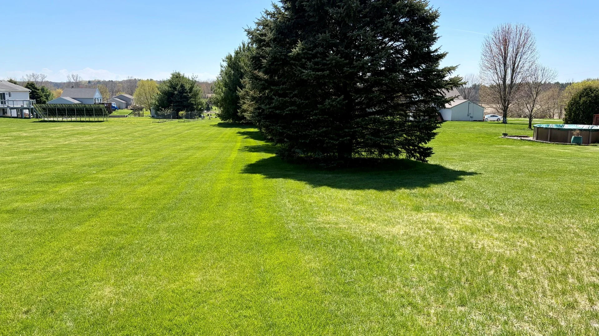 Post-Emergent Weed Control: How Long Does It Take to Work on Weeds?