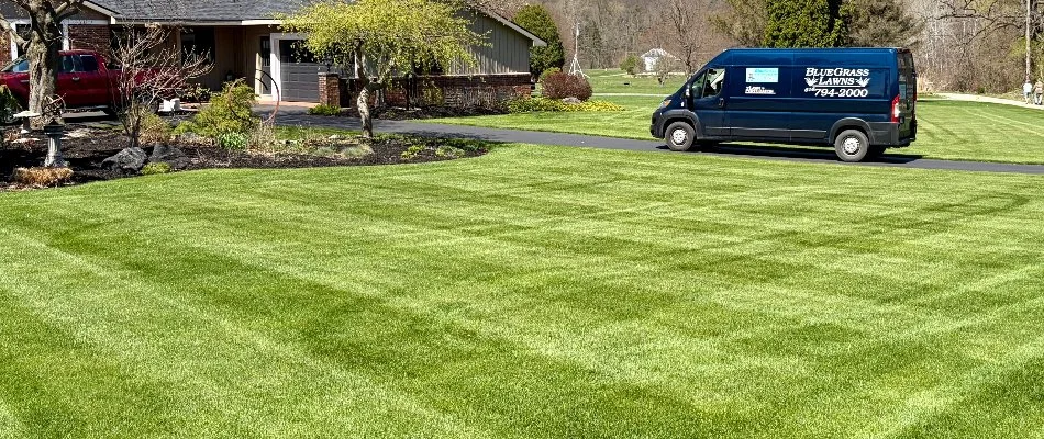 Van next to a newly mowed lawn in Grand Rapids, MI.
