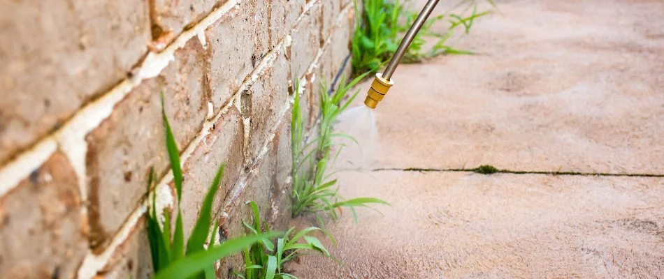 Applying pest control on the perimeter of a house in Muskegon, MI.