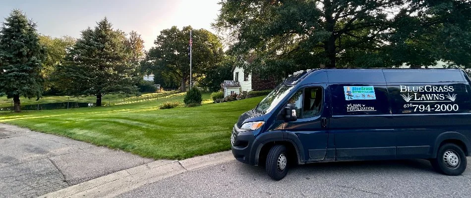 Shrubs that have been recently trimmed in Grand Rapids, MI.
