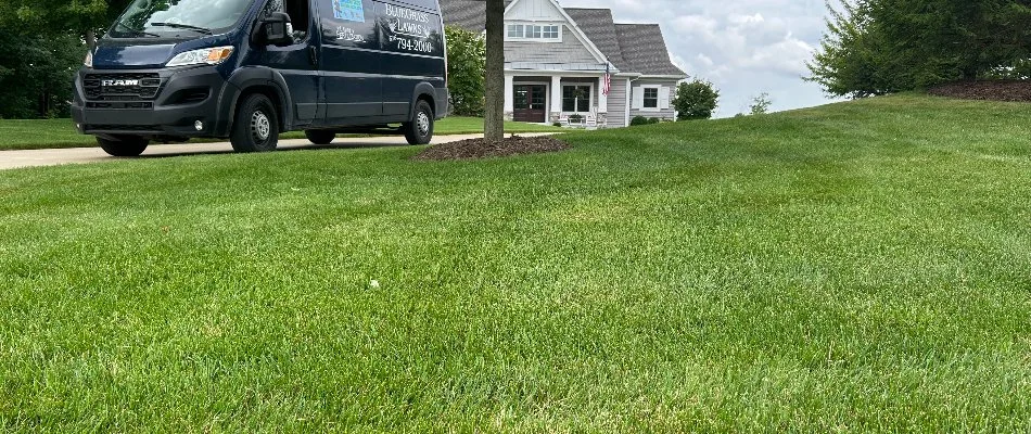 Dense green grass and a van in Grandville, MI.