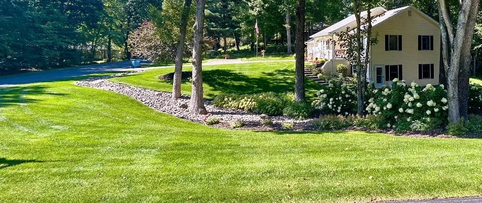 Fertilized green grass in Wyoming, MI, with trees and flowers.