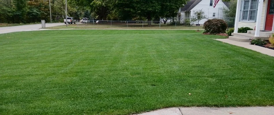 Front yard in Grand Rapids, MI, with a green, weed-free lawn.