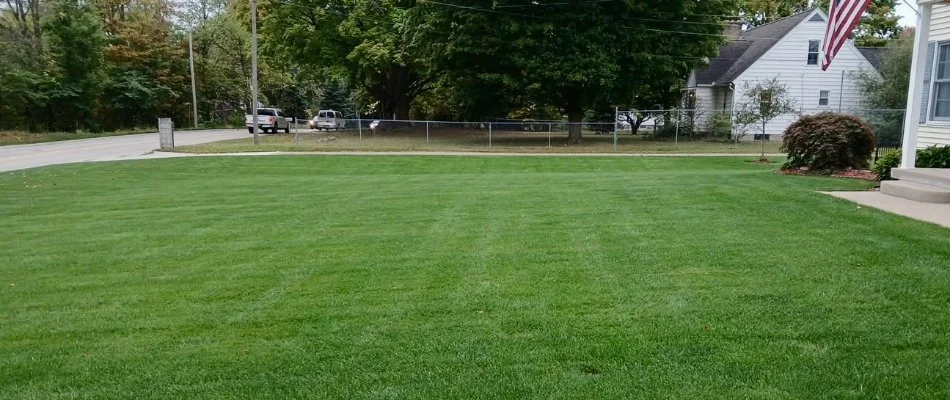 Green lawn along a street in Grand Rapids, MI.
