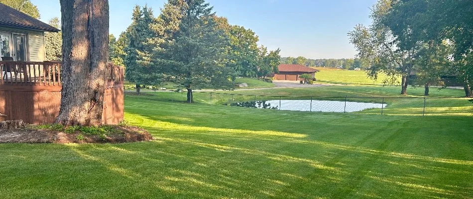 Green lawn in Hudsonville, MI, with a pond and some trees.