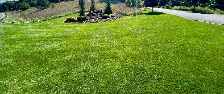 Healthy, lush grass in a HOA community in Grand Rapids, MI.