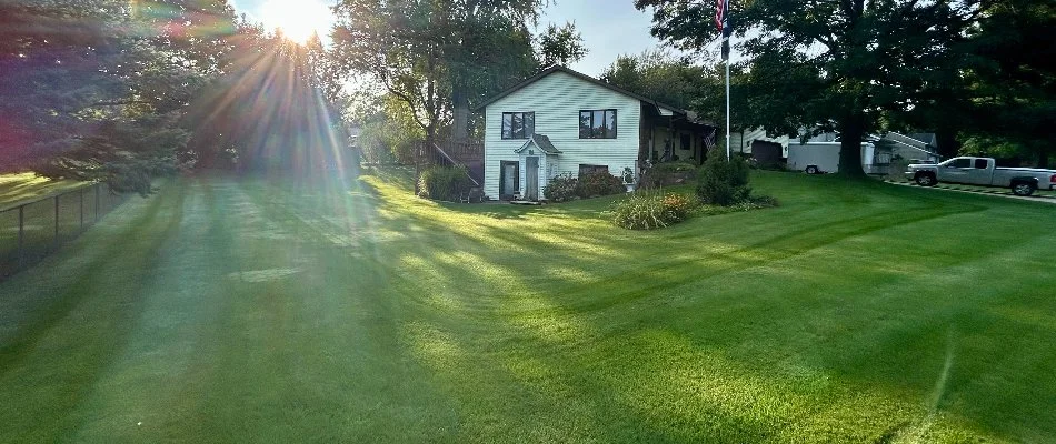 Trimmed plants and colorful flowers on a landscape in Fort Mill, SC, beside a green lawn.