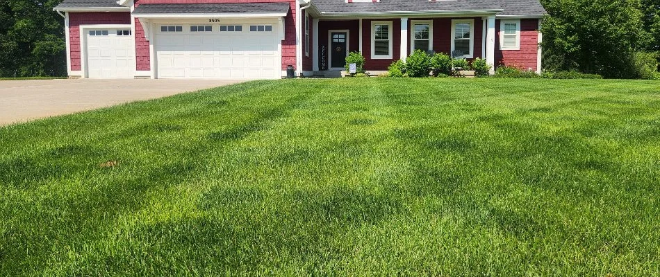 House behind a dense lawn in Holt, MI.