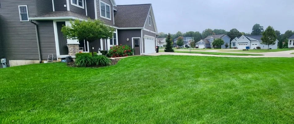 House in Holland, MI, with green lawn.