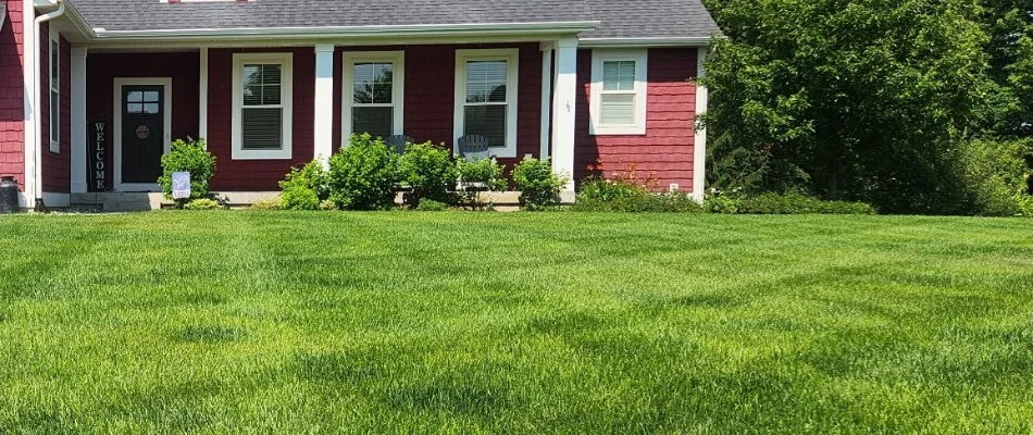 House in Walker, MI, with shrubs and lush green grass.