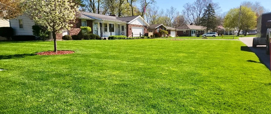 Houses and a healthy lawn in Okemos, MI.