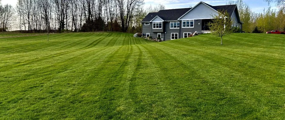 Large, healthy front lawn and a house in Grand Rapids, MI.