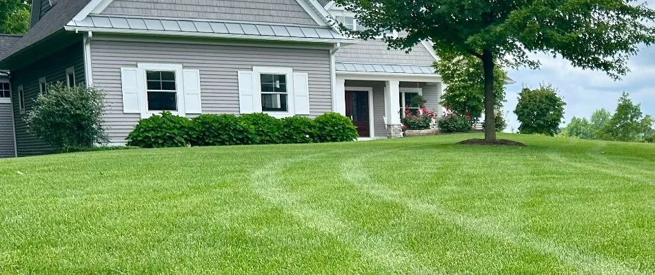 Lawn and plants on a front yard in Rockford, MI.