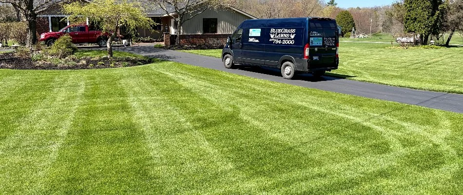 Lawn in Norton Shores, MI, with stripe marks.
