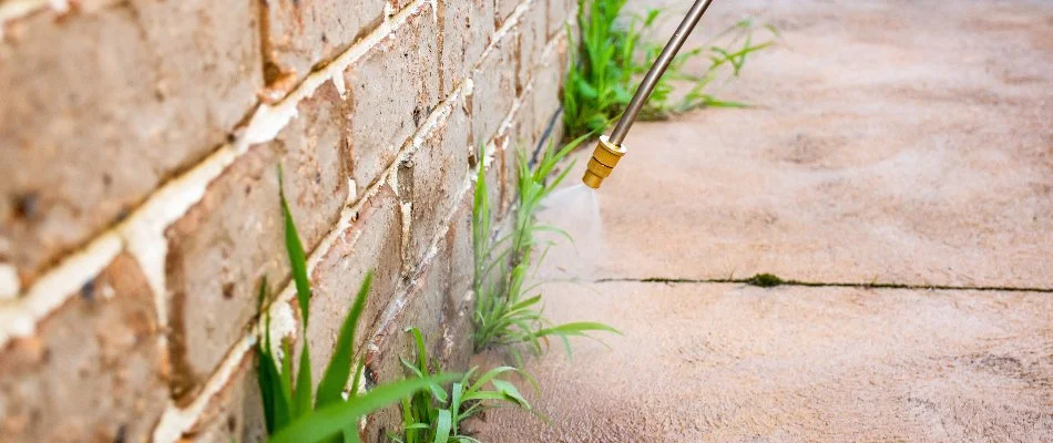 Pest control treatment on the exterior wall of a house in Grand Rapids, MI.