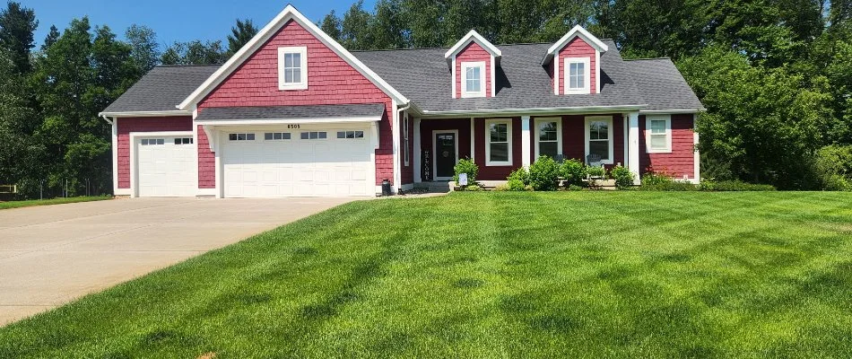 Seedlings growing in a new lawn in Grand Rapids, MI.