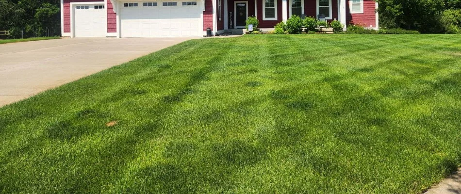 Thick, green lawn in front of a red house in Grand Rapids, MI.