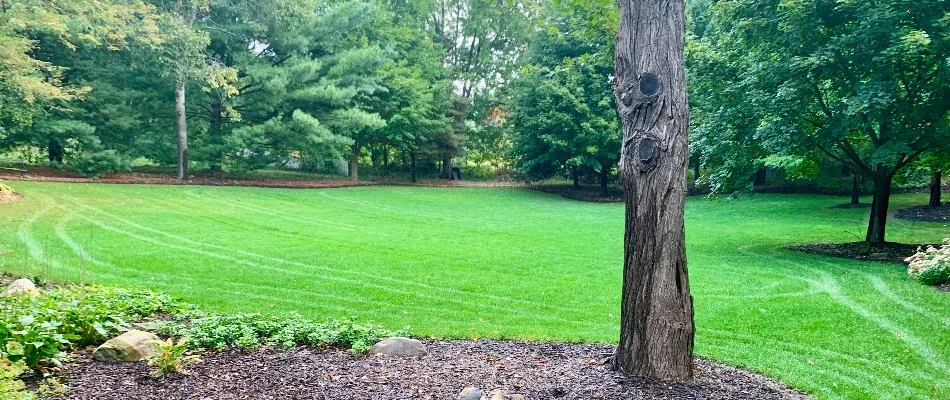 Trimmed plants and colorful flowers on a landscape in Forest Hills, MI, beside a green lawn.