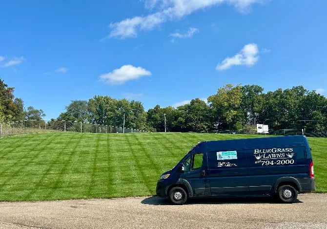 Maintained landscape bed with purple blooms.