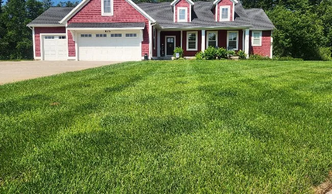 Well-maintained lawn with landscaping