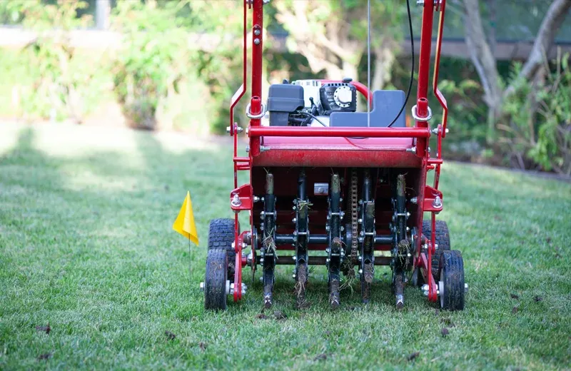 aerating lawn