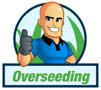 overseeding package icon